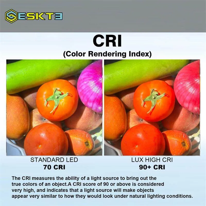 EC200S-RED Flashlight