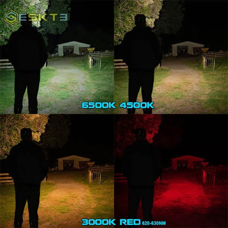 EC200S-RED Flashlight